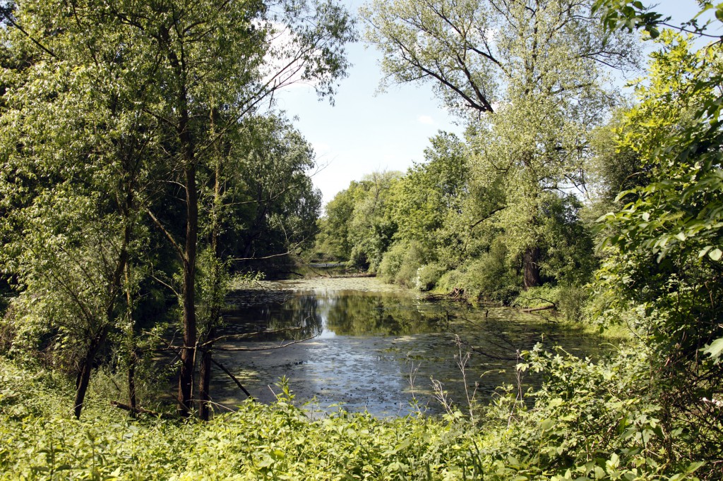 E3-Emsdetten_1120