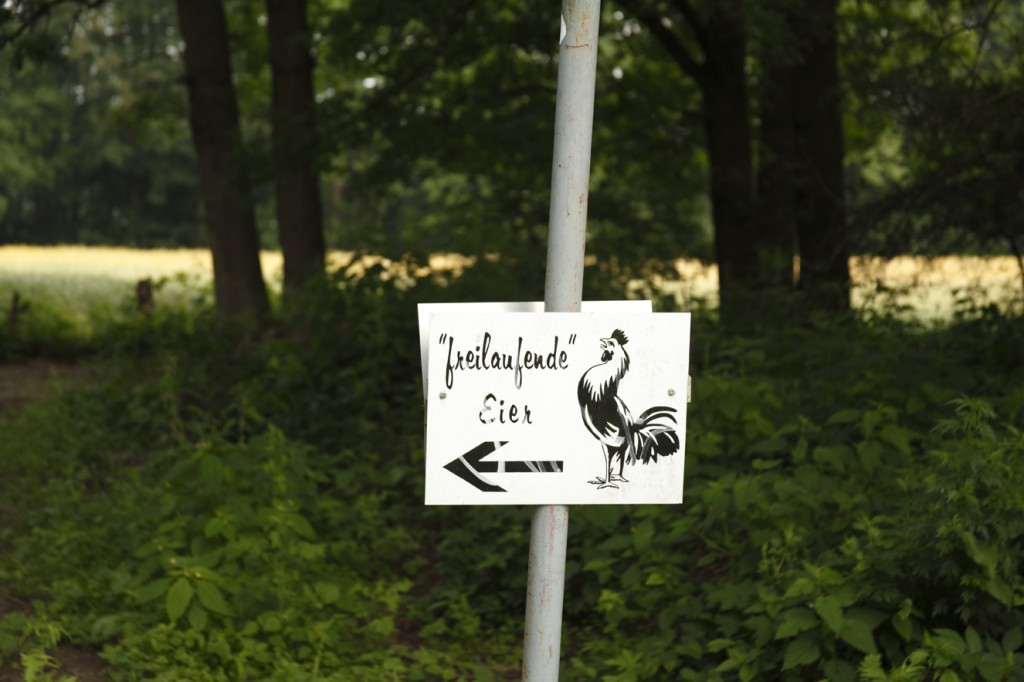 E3-Schild_0029